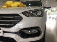 Hyundai Trường Chinh - Hyundai Santa Fe 2017 tặng 50% trước bạ, liên hệ 0939.304.221 Minh