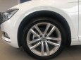 [VW Trần Hưng Đạo] giao ngay Passat Bluemotion đủ màu, trả trước 300 triệu lấy xe ngay, lãi suất vay thấp nhất