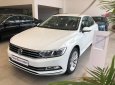 [VW Trần Hưng Đạo] giao ngay Passat Bluemotion đủ màu, trả trước 300 triệu lấy xe ngay, lãi suất vay thấp nhất