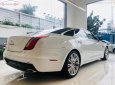 Cần bán Jaguar XJ Porfolio năm 2019, màu trắng, nhập khẩu