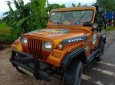 Cần bán lại xe Jeep Wrangler năm sản xuất 2008, nhập khẩu nguyên chiếc, giá chỉ 138 triệu