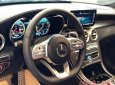Bán Mercedes C300 AMG 2020, giao ngay giá ưu đãi lớn nhất, mua xe chỉ với 399tr