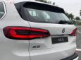 Bán BMW X5 xDrive35i 2019, màu trắng, nhập khẩu  