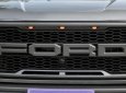 Bán Ford F-150 Raptor sản xuất 2019, màu đen, xe nhập khẩu nguyên chiếc