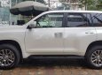 Bán Toyota Land Cruiser Prado 2019, màu trắng, xe nhập