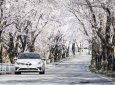 Bán ô tô Kia Optima năm 2019, màu trắng, 789 triệu