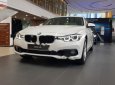 Cần bán BMW 320i 2018, màu trắng, nhập khẩu