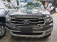 Bán Ford Everest mới 100%, nhập khẩu Thái 2019