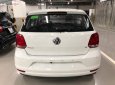 Cần bán Volkswagen Polo 1.6AT sản xuất năm 2016, màu trắng, nhập khẩu  