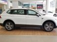 Bán Volkswagen Tiguan Allspace Luxury sản xuất năm 2019, màu trắng, nhập khẩu