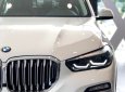 Bán xe BMW X5 đời 2019, trắng, nhập khẩu 100% từ Đức