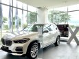 Bán xe BMW X5 đời 2019, trắng, nhập khẩu 100% từ Đức