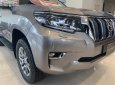 Bán Toyota Land Cruiser Prado VX 2.7L năm sản xuất 2019, màu ghi vàng, xe nhập