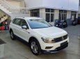 Cần bán Volkswagen Tiguan năm sản xuất 2018, màu trắng, xe nhập