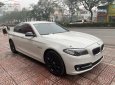Cần bán lại xe BMW 5 Series 520i sản xuất 2016, màu trắng, nhập khẩu nguyên chiếc