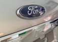 Cần bán Ford Everest năm sản xuất 2020, nhập khẩu nguyên chiếc