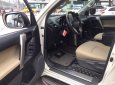 Xe Toyota Land Cruiser sản xuất 2010, xe nhập, giá tốt