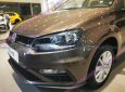 Volkswagen Polo 2020 màu nâu nhập khẩu nguyên chiếc giá 695 triệu - giao ngay - khuyến mãi hấp dẫn