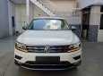 Volkswagen Tiguan Topline, màu trắng, nhập khẩu chính hãng tặng quà hấp dẫn năm mới