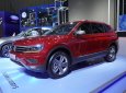 Bán Volkswagen Tiguan Luxury đời 2020, màu đỏ, nhập khẩu chính hãng