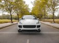 Cần bán Porsche Cayenne Platinum năm 2017 giá 4 tỷ 350tr
