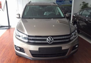 Đà Nẵng: Volkswagen Tiguan 2.0 TSI đời 2016, màu nâu, nhập khẩu nguyên chiếc giá 1 tỷ 290 tr tại Bình Định