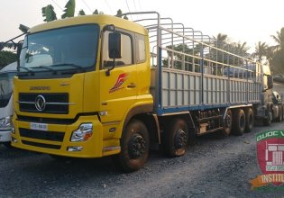 Chuyên xe tải thùng Dongfeng Hoàng Huy: 8 tấn, 9 tấn, 10 tấn, 11 tấn, 13 tấn, 17 tấn, 18 tấn, 22 tấn giá 1 tỷ 50 tr tại Bình Dương
