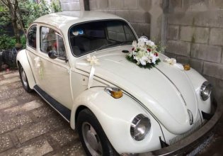 Bán Volkswagen Beetle sản xuất 1980, màu trắng giá 250 triệu tại TT - Huế