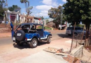 Cần bán Jeep CJ đời 1980, 149tr giá 149 triệu tại Đắk Lắk