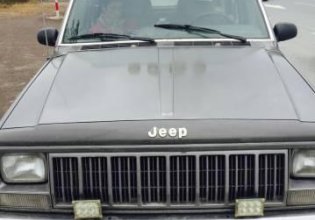 Cần bán gấp Jeep Cherokee đời 1995 giá 99 triệu tại Hà Nội