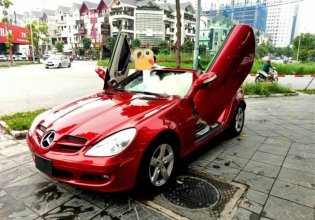 Cần bán lại xe Mercedes SLK 280 đời 2006, màu đỏ, xe nhập giá 685 triệu tại Hà Nội