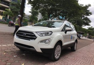 Cần bán lại xe Ford EcoSport 1.5L Titanium 2019, màu trắng, giá tốt giá 595 triệu tại Bắc Ninh