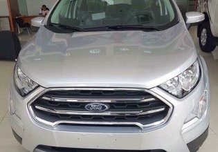 Bán xe Ford EcoSport đời 2018, Ecoboost 1.0AT màu xám (ghi), KM chỉ 677 triệu, tặng gói phụ kiện tháng 11 giá 677 triệu tại Hà Giang