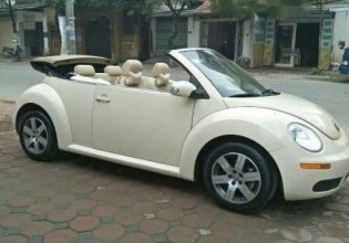 Bán xe Volkswagen New Beetle 2.5AT đời 2006, màu trắng, nhập khẩu chính chủ, giá chỉ 485 triệu giá 485 triệu tại Hà Nội