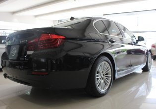 Bán ô tô BMW 5 Series 520i sản xuất năm 2014, màu đen, nhập khẩu giá 1 tỷ 320 tr tại Tp.HCM