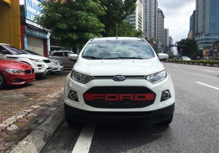 Cần bán Ford EcoSport Titanium 1.5 AT năm sản xuất 2015, màu trắng giá 495 triệu tại Hà Nội