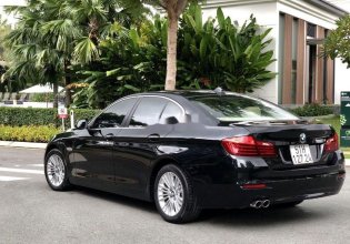 Bán BMW 520i 2013, đời 2014, nhập khẩu nguyên chiếc giá 1 tỷ 130 tr tại Tp.HCM