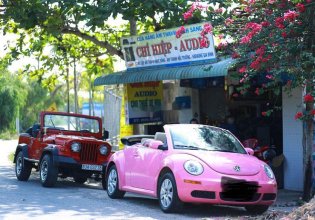 Bán Volkswagen Beetle sản xuất năm 2009, xe mui trần xếp điện giá 520 triệu tại Vĩnh Long
