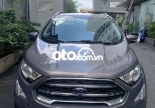 Bán Ford EcoSport 1.5 năm 2019, màu xám còn mới giá 545 triệu tại Tp.HCM
