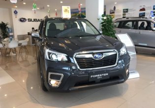 Bán xe Subaru Forester sản xuất năm 2021, màu xám, nhập khẩu nguyên chiếc giá 899 triệu tại Hà Nội