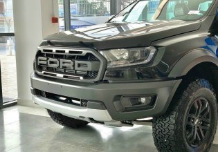 Cần bán Ford Ranger Raptor sản xuất năm 2021, màu đen, nhập khẩu nguyên chiếc giá 1 tỷ 202 tr tại Quảng Ninh