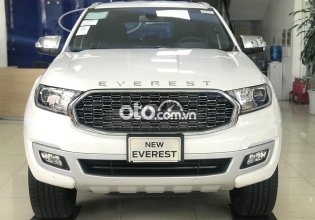 Bán xe Ford Everest 2.0 năm sản xuất 2022, màu trắng, nhập khẩu nguyên chiếc giá 1 tỷ 173 tr tại Hà Nội