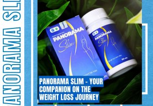 Panorama Slim - Your companion on the weight loss journey giá 800 triệu tại BR-Vũng Tàu
