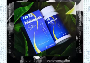 Panorama Slim - Embarking on the journey to your ideal physique giá 106 triệu tại Tp.HCM